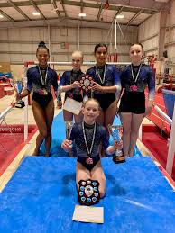 Image result for Huntingdon Gymnastics Club