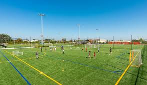 Image result for Reedham Park Sports Club