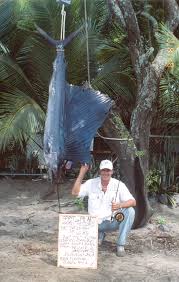 Image result for Istiophorus platypterus