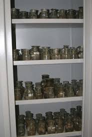 Attēlu rezultāti vaicājumam “Aranei”