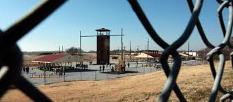 Image result for Camp FEMA