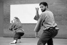 Image result for Shaolin Nam Pai Chuan Kung Fu - Manchester Martial Arts Centre