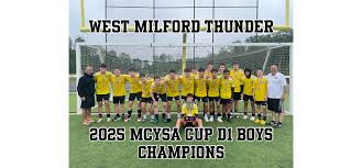 Image result for Milford Sports Club