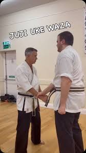 Image result for Yoseikan Budo England