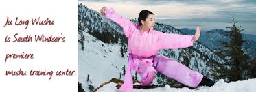Image result for Windsor WingTsun Kung Fu School