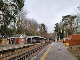 Image result for Tadworth Athletic Club