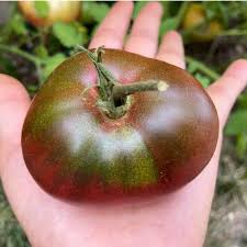 Afbeeldingsresultaat voor dark purple beefsteak tomato