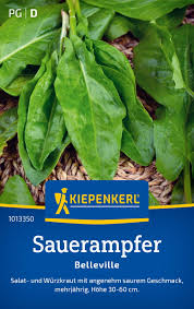 Image result for Sauerampfer