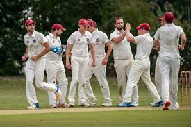Image result for Fareham and Crofton Cricket Club