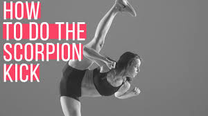 Image result for Scorpion Martial Arts Academy