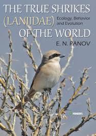 Attēlu rezultāti vaicājumam “Laniidae”