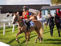 Image result for Liverpool Equestrian Club