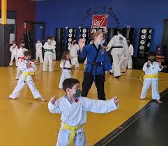 Image result for America's Best Karate