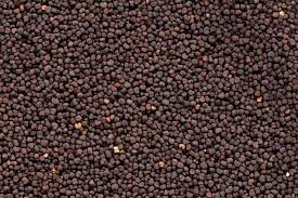 Image result for Pechnelke