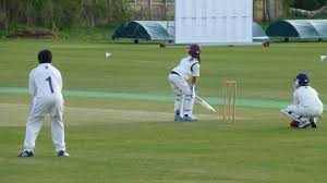 Image result for Morpeth Junior Cricket Club