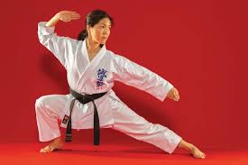 Image result for COMBAT TAEKWONDO