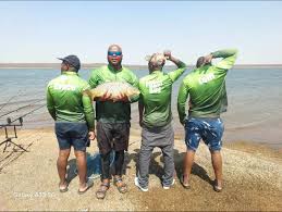 Image result for pheega