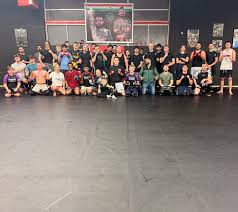 Image result for Bristol Dojo MMA