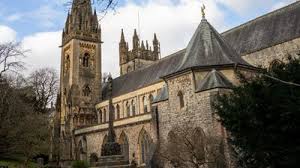 Image result for Cardiff Capitals