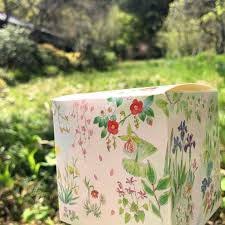 「望月麻里（マリ）」の画像検索結果