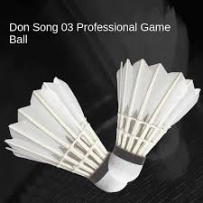 Image result for Flight Badminton Club