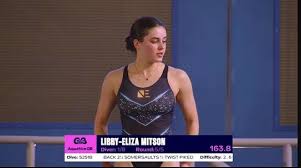 Image result for Leeds Free Divers Octopush Club