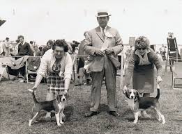 Image result for Paignton Cc