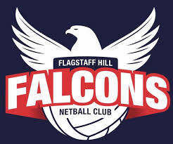 Image result for Falcons Netball Club