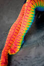 how to tie dye socks