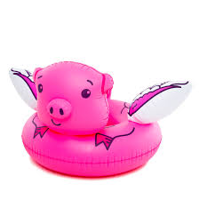 Image result for flying pigs