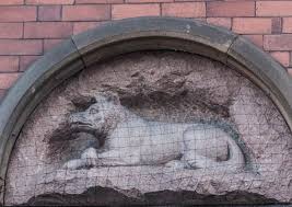 Image result for Stirling Wolves