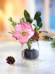 Image result for Christrose