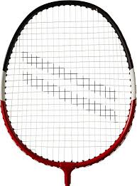 Image result for Team Racquets Badminton Club