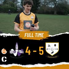 Image result for Ashtead Football Club