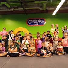 Image result for Redcar Gymnastics Club