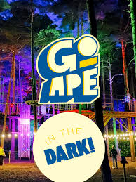 Image result for Go Ape! Thetford