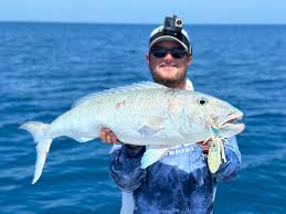 Image result for Aprion virescens