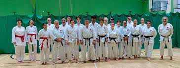 Image result for Oxford Karate Institute