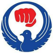 Image result for Karate Wado Kai