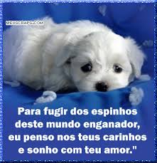 Blog de amigosdoblog : AMIGOS DO BLOG, H&Aacute; AMIGO  MESMO N&Atilde;O ESTANDO PERTO DE VOC&Ecirc; ...GOSTO MUITO DA SUA VISITA