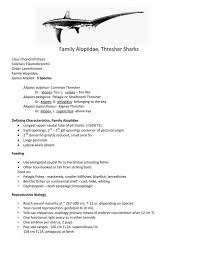 Image result for Alopias superciliosus