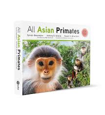 Attēlu rezultāti vaicājumam “Primates”