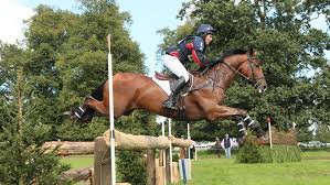 Image result for Jp-Sheffield Eventing