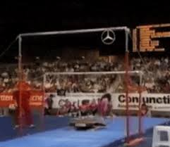Image result for Arabian School Of Gymnastics