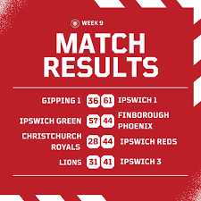 Image result for Ipswich Ladies Netball Club