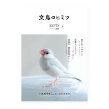 「海老沢和生」の画像検索結果