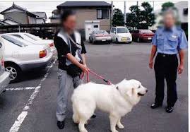 Image result for 201205.html#201205031