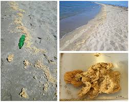 Image result for Suffolk Coastal Floaters