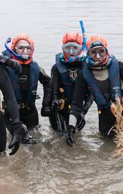 Image result for Woking Junior Snorkelling Club