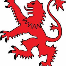 Image result for Wokingx1 Cricket Club